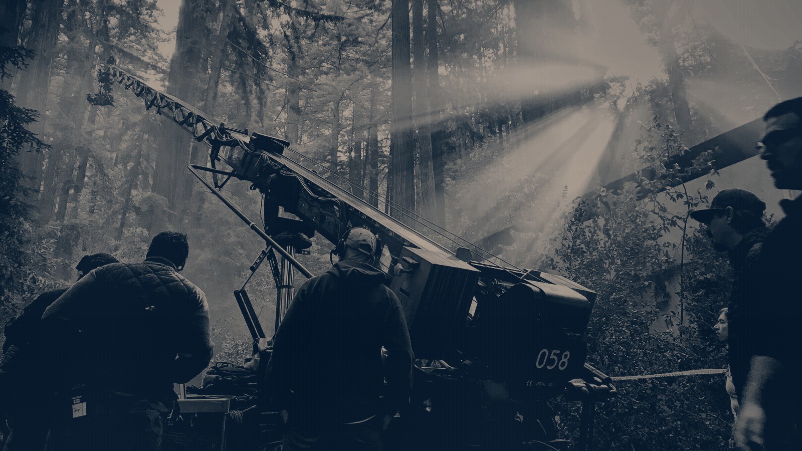 A film camera crane on a location shoot in a redwood forest, crew silhouetted against sun rays breaking through the trees.